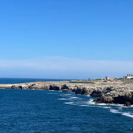 Bvholidayhouse Apartment