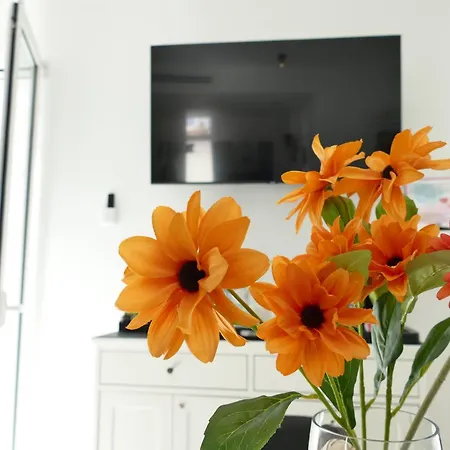 Bvholidayhouse